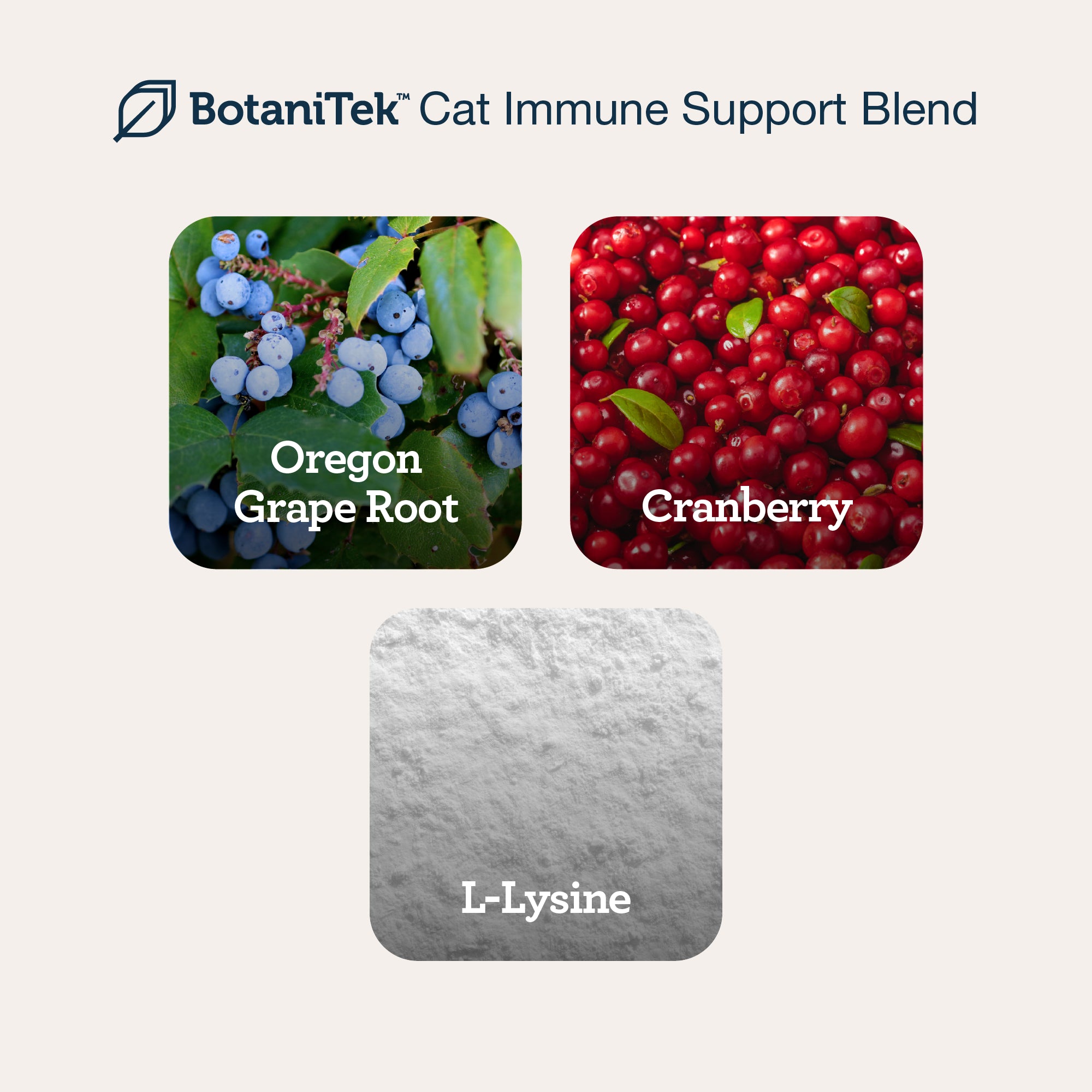 CBD Cat Comfort Bundle