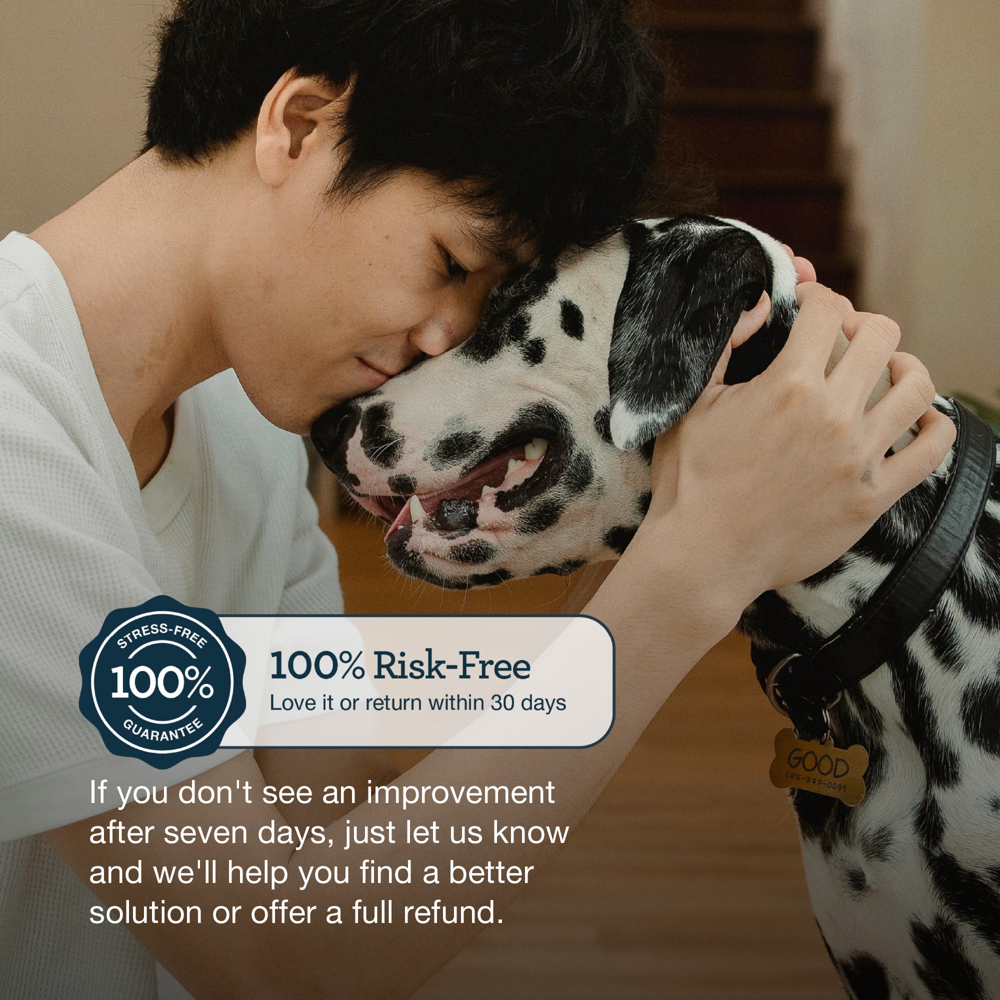 CBD Pre+ Post+ Probiotic Chews