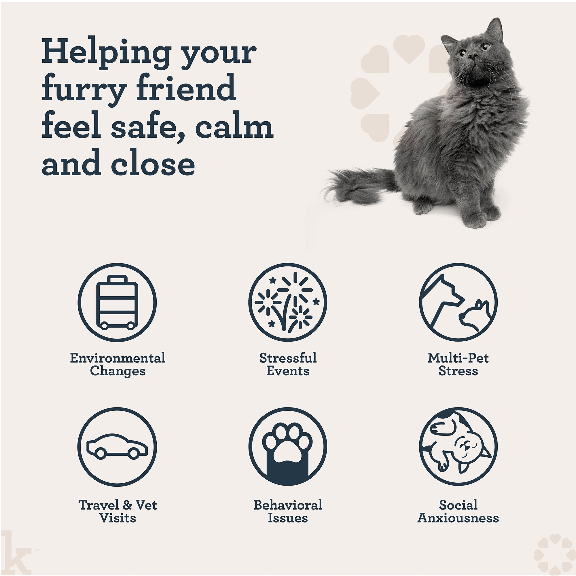 Cat sitting on a white background with icons and text about pet care.