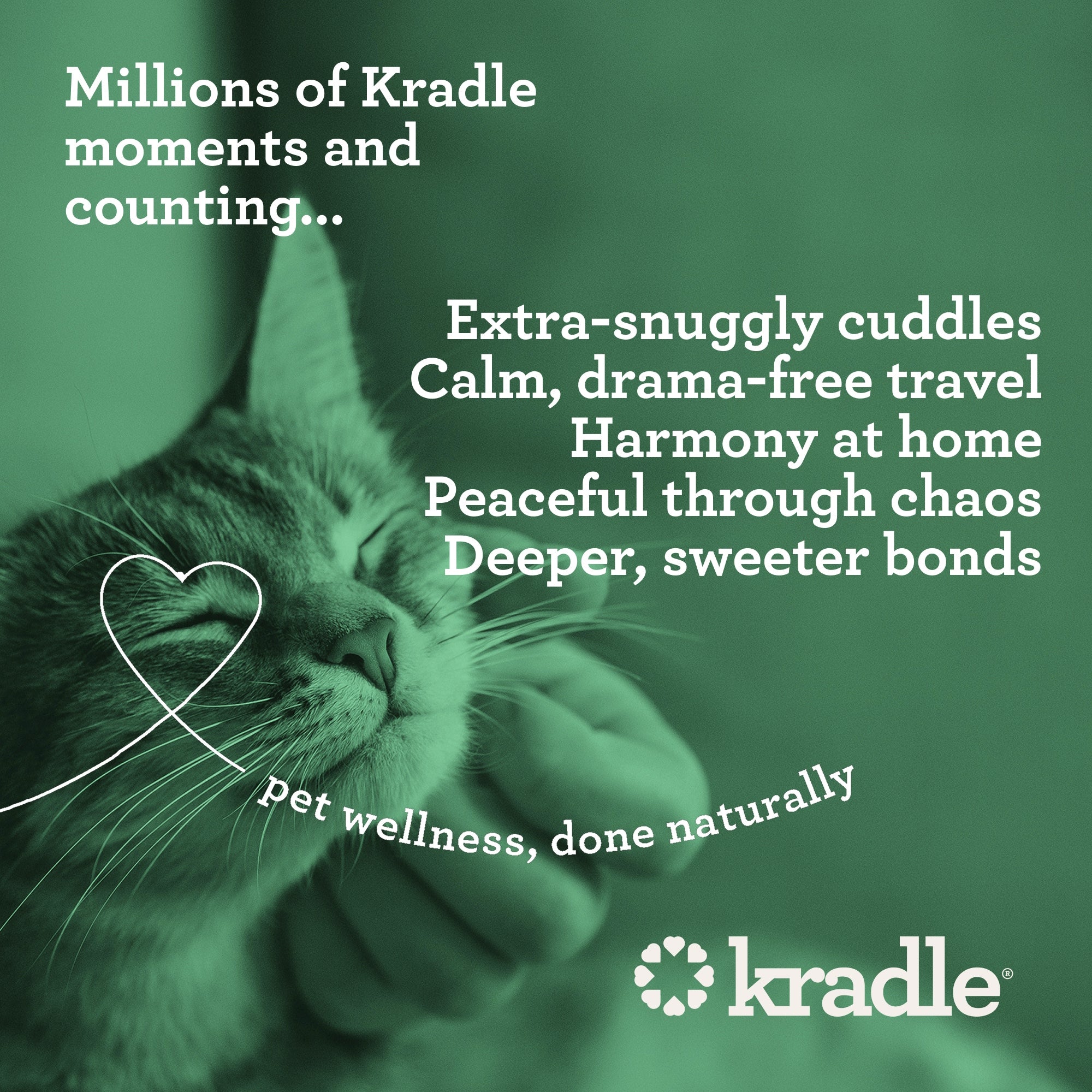 Cat with text about Kradle pet wellness products on a green background