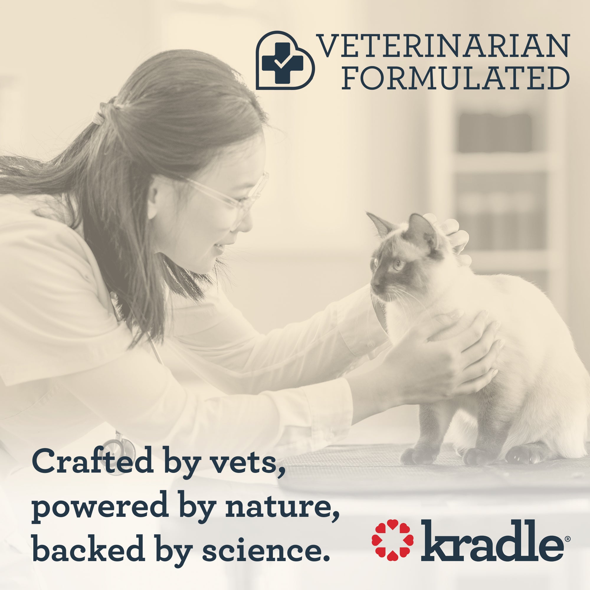 CBD Cat Tincture Vet Formulated