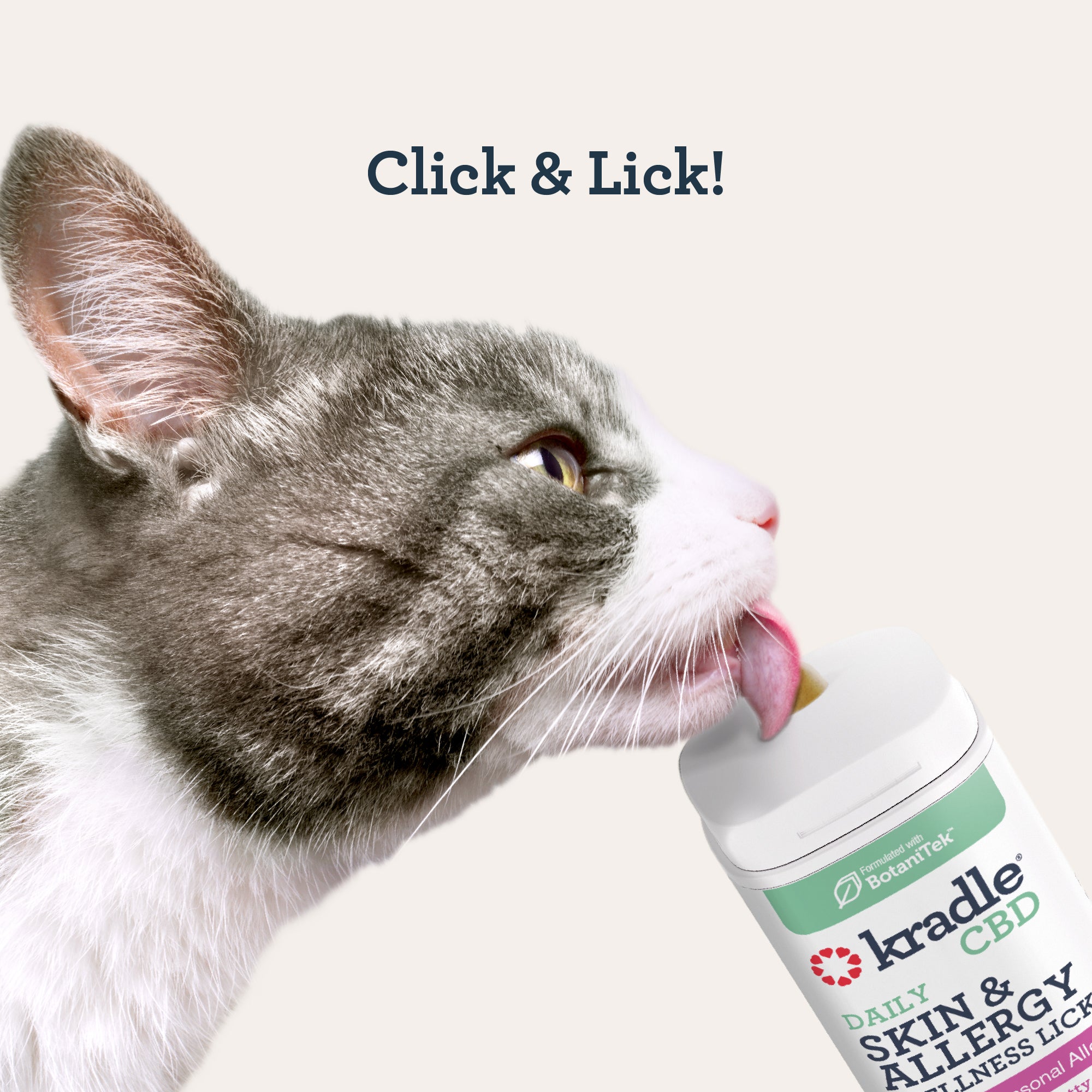 CBD Cat Skin & Allergy Wellness Lick