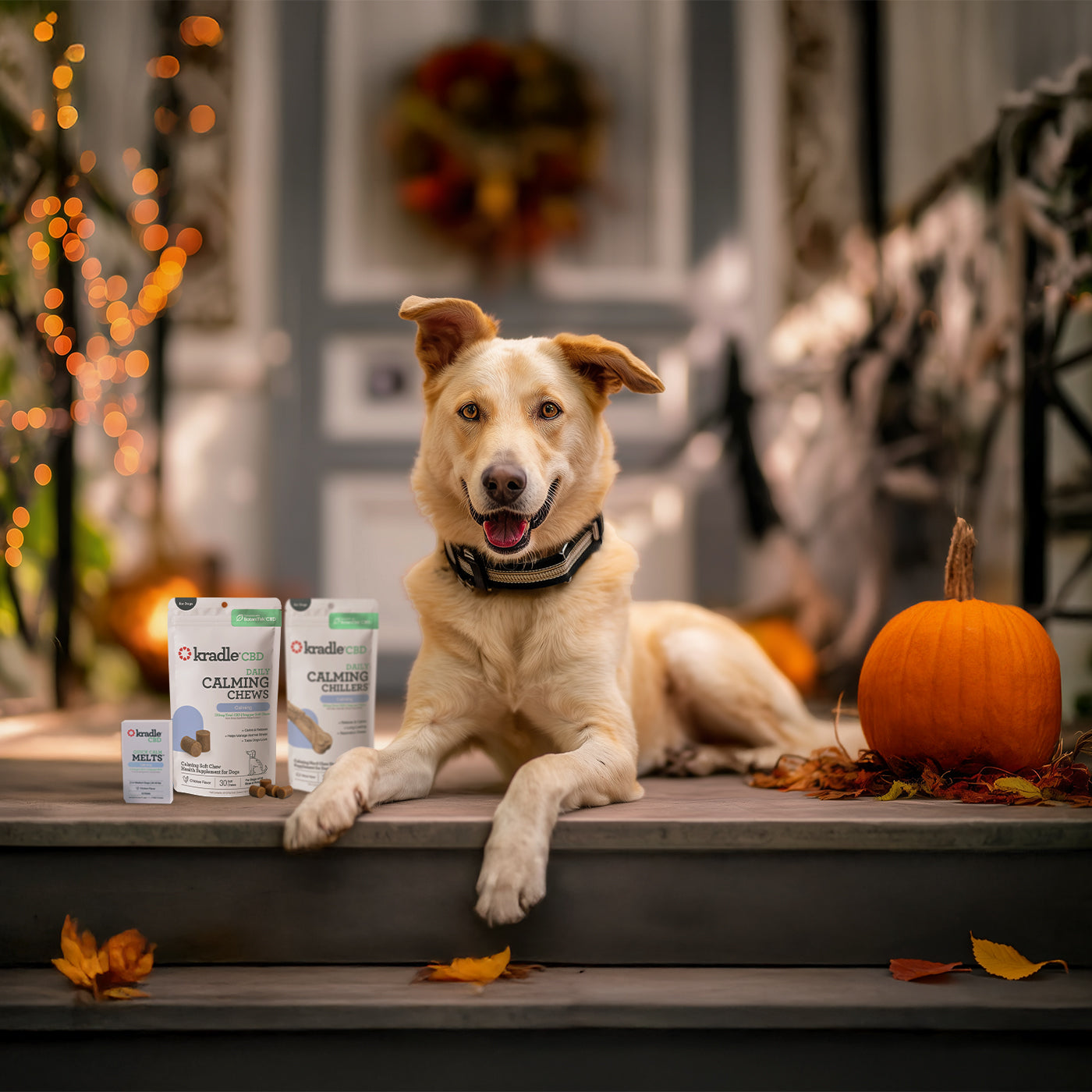 Trick or Treat Calming Bundle