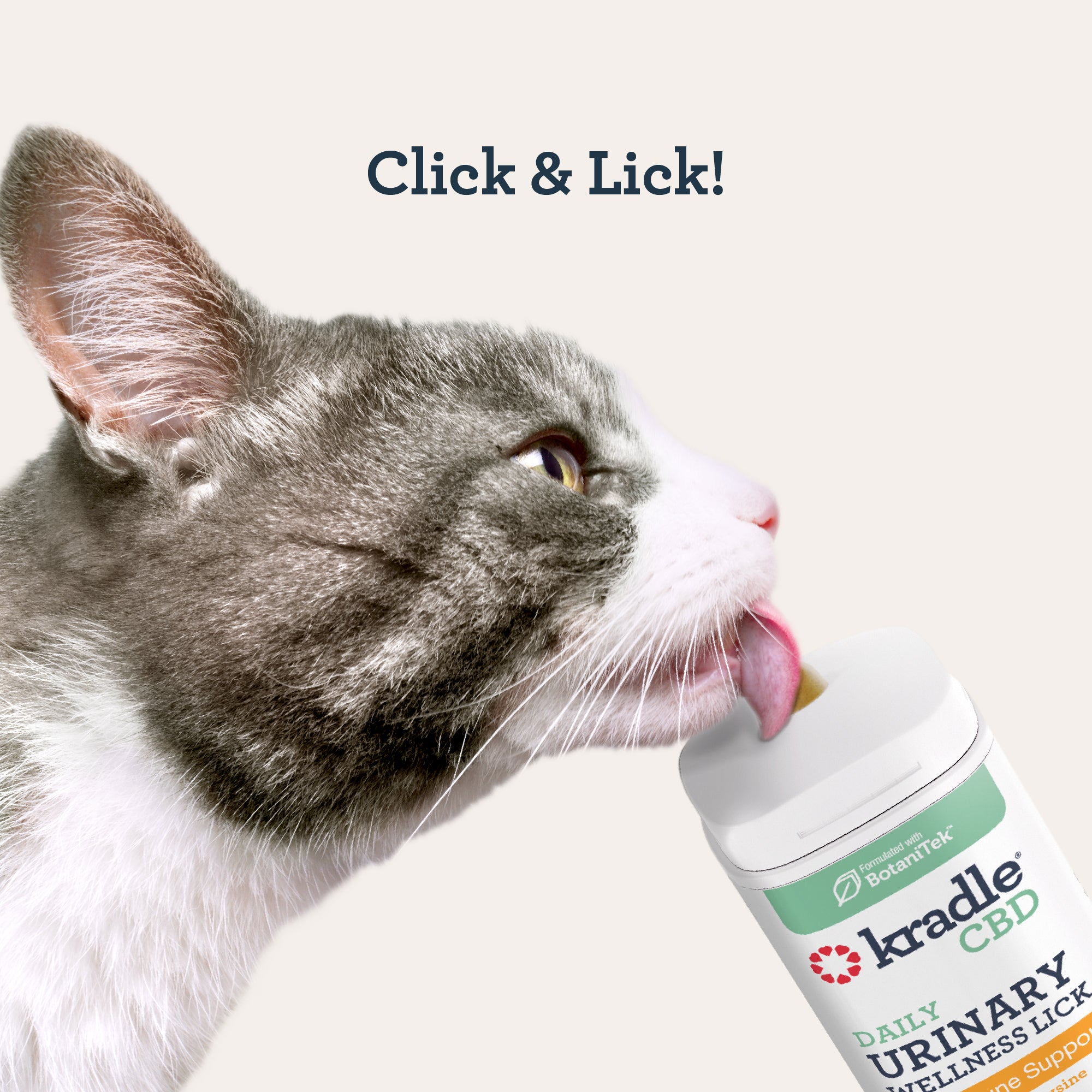 CBD Cat Urinary Wellness Lick