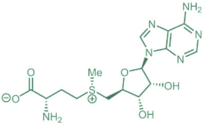 SAMe (S-Adenosyl-L-Methionine)